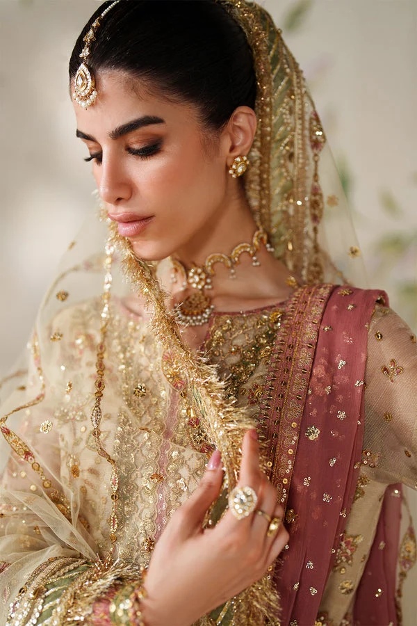 EMBROIDERED NET BAROUQE pakistani fashion outfit with coordinated…